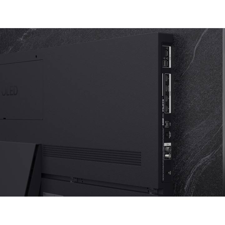 Фото 18 Телевизор LG OLED83C54LA