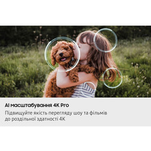 Телевизор SAMSUNG QE42S90FAEXUA