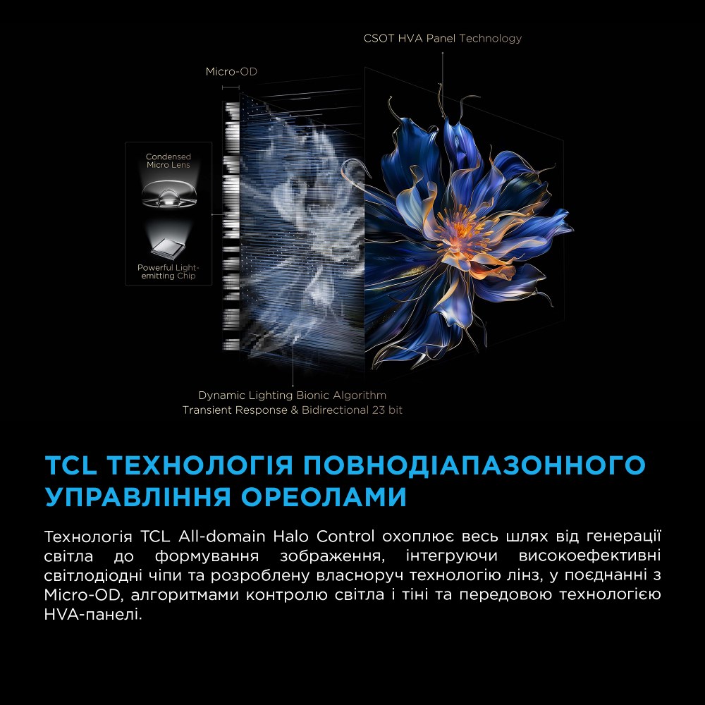 Фото 14 Телевизор TCL 65C6K