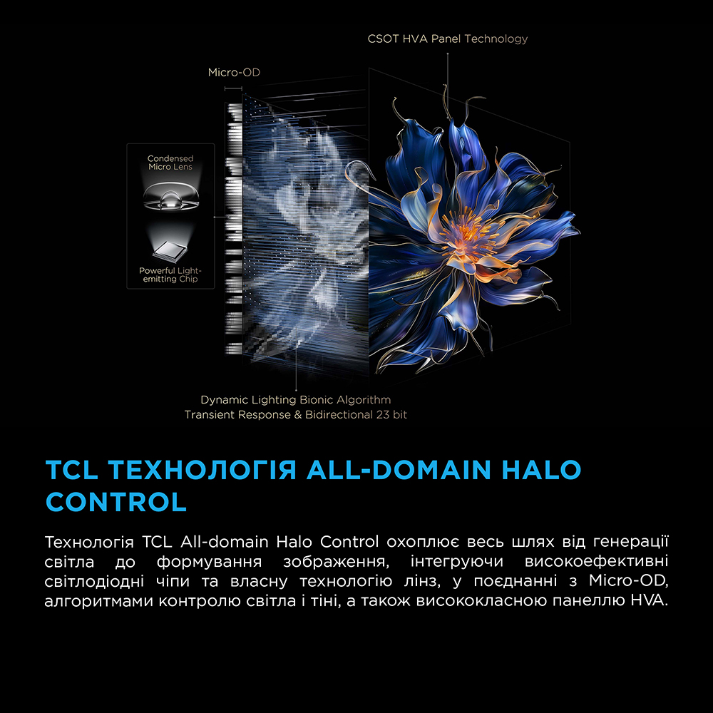 Изображение Телевизор TCL 50C6KS