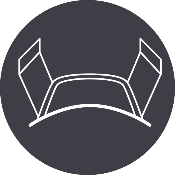 ion
