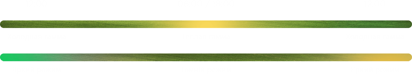 picture-first