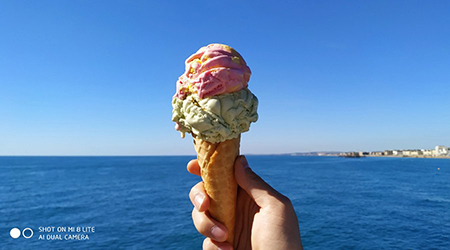 image gallery 3